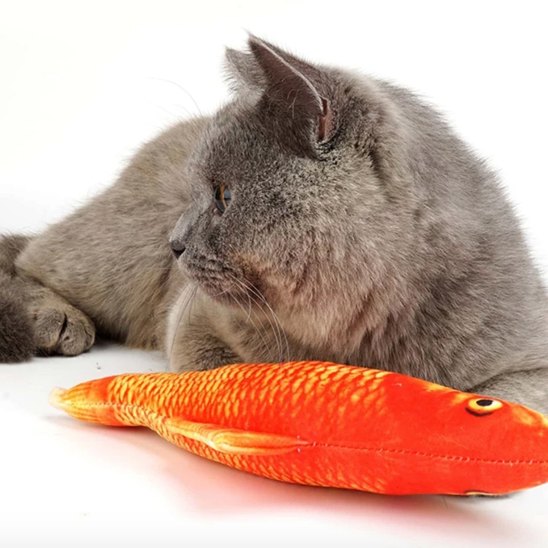 FishCat - Giocattolo per gatti